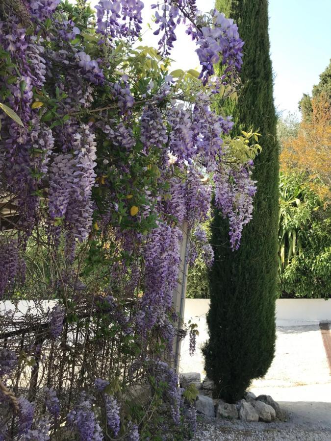 Bastide Nomade - Guest House Saint-Paul-de-Vence Eksteriør bilde